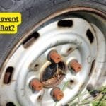 How to prevent tire dry rot
